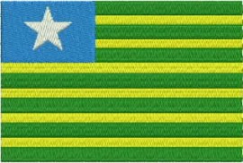 Matriz de bordado Bandeira Piau